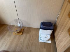 -唐小姐の私宠·宠物洗护美容·撸猫馆·购宠(周浦万达旗舰店)