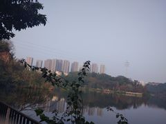 -重庆彩云湖湿地公园