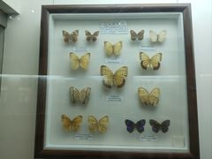 -陕西自然博物馆