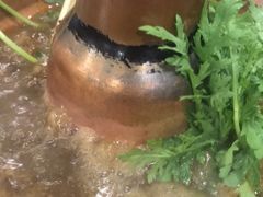 -马记伊源斋涮肉·清真菜(潘家园古玩市场店)