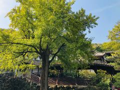 -无锡惠山寺