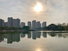 -新江湾城公园