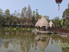 -美的鹭湖森林度假区