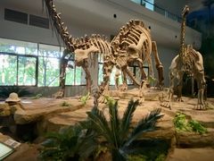 -自贡恐龙博物馆