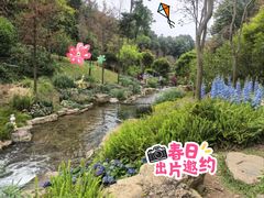 -云溪植物园