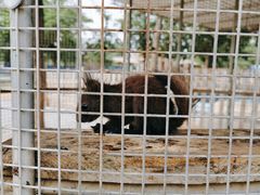 -秦皇岛野生动物园