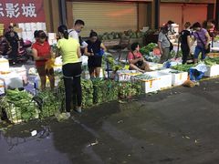 -三亚新鸿港水果一级批发市场