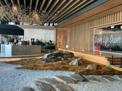 -Seesaw Coffee(朝阳大悦城店)