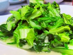 -京城小江南·北京烤鸭·江南土菜·白鱼(中关村店)