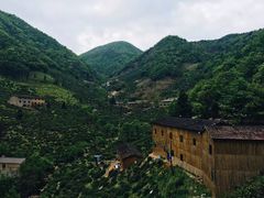 -东白山