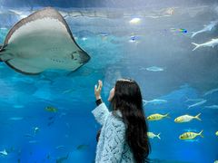 -福州罗源湾海洋世界旅游区
