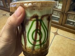 -油梨树 AVOCADO TREE(亮马桥店)