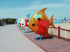 -南戴河国际娱乐中心