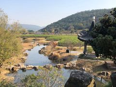 -龙寺生态园