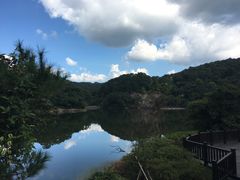 -广州市石门国家森林公园