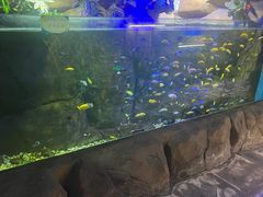 -嘉兴海底世界