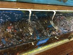 -御唐府海珊瑚主题餐厅