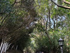 -福建泉州仙公山风景名胜区