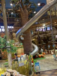 -卡通尼·Safari非洲探索乐园·生日会(金桥国际商业广场店)