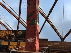 -怀托摩萤火虫洞