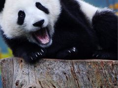 -保利国际影城(万家邻里店)