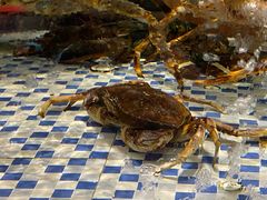 -黄泥岗·地道湖北菜(奥特莱斯店)