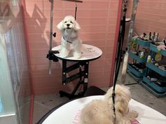 -FAELING PETS美天灵宠物(合生汇店)