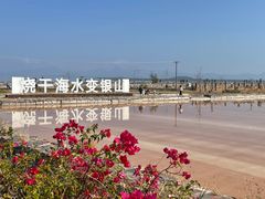 -莺歌海盐场