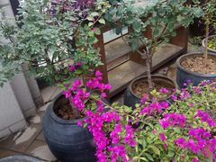 -瓦库茶馆17号(海汇港店)