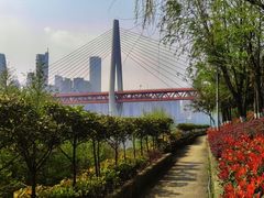 -重庆市江北嘴中央商务区中央公园