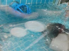 -浔味·山屿湖·正宗全鱼宴老字号