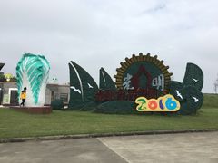 -上海都市菜园