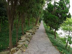 -黄海国家森林公园