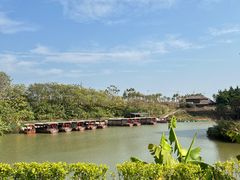 -江门古劳水乡旅游区