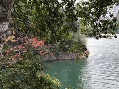-广州市流溪河国家森林公园