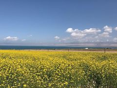 -青海湖国家重点风景名胜区