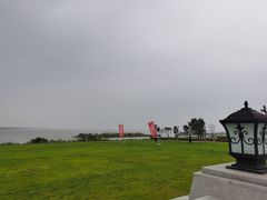 -洪湖湿地生态园