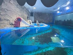 -秦皇岛新澳海底世界