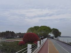-贡湖湾湿地公园