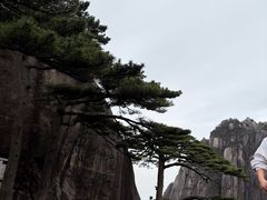 -巧手推拿中心(盲人推拿)