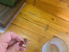 -参差咖啡(水果湖公园店)