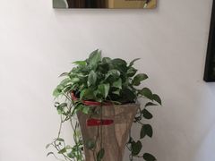 -医济堂·中医养生·经络理疗(凤凰西街店)