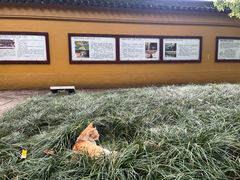 -西园戒幢律寺