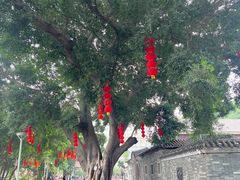 -荔湾湖公园