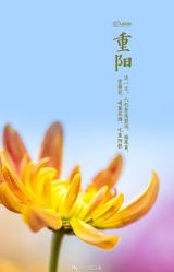 -Dr.U博士医疗美容医院
