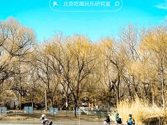 -朝阳公园