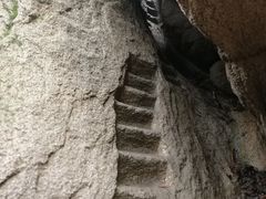 -六里坪国家森林公园