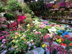 -双季花艺园艺市场(浦东店)