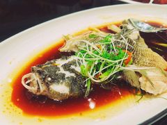 清蒸笋壳鱼-新南华大酒店(广中店)
