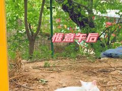 -北京凤凰岭